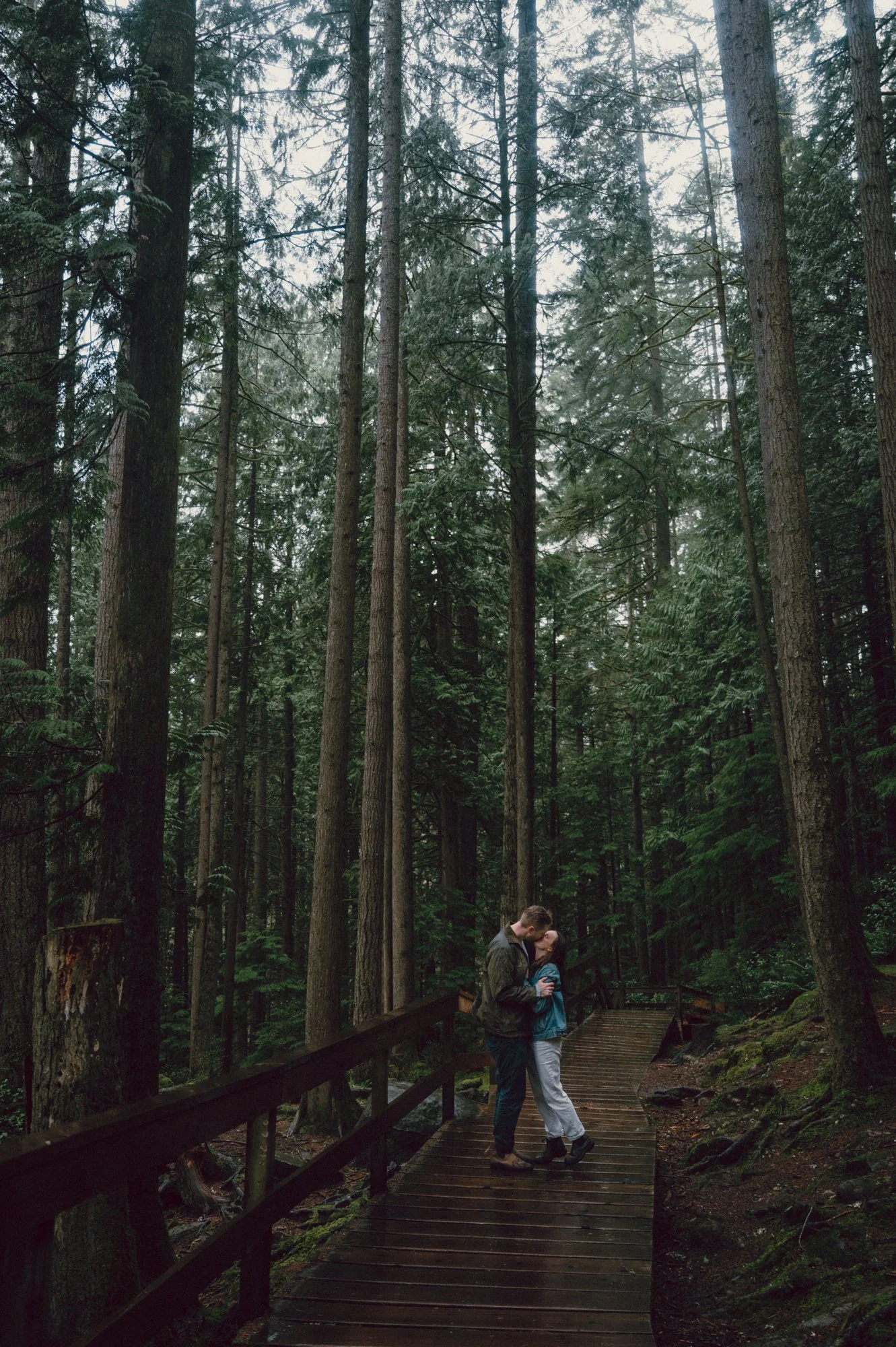 Wide photo of a couple embracing and kissing on a boardwalk surrounded by lush Pacific Northwest greenery in Lynn Valley, North Vancouver