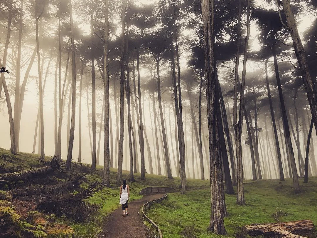 Morning trails.