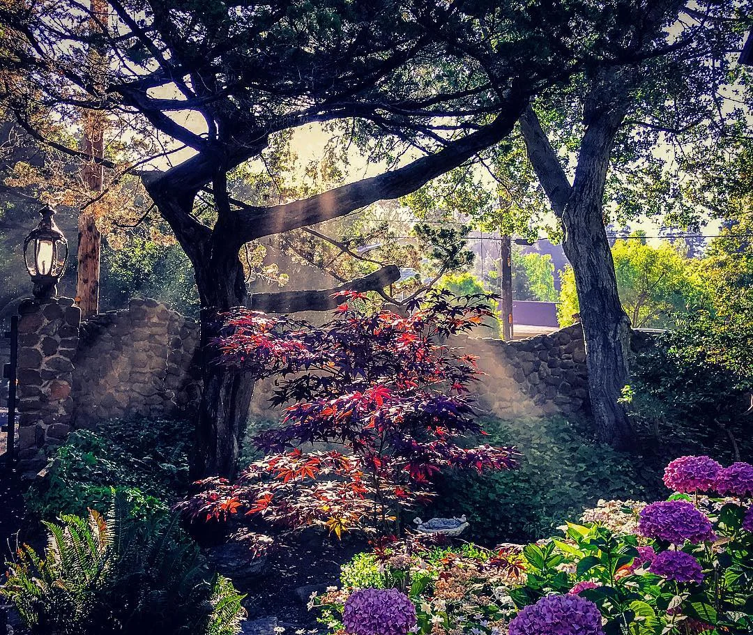 Mornings_in_Montclair.jpg