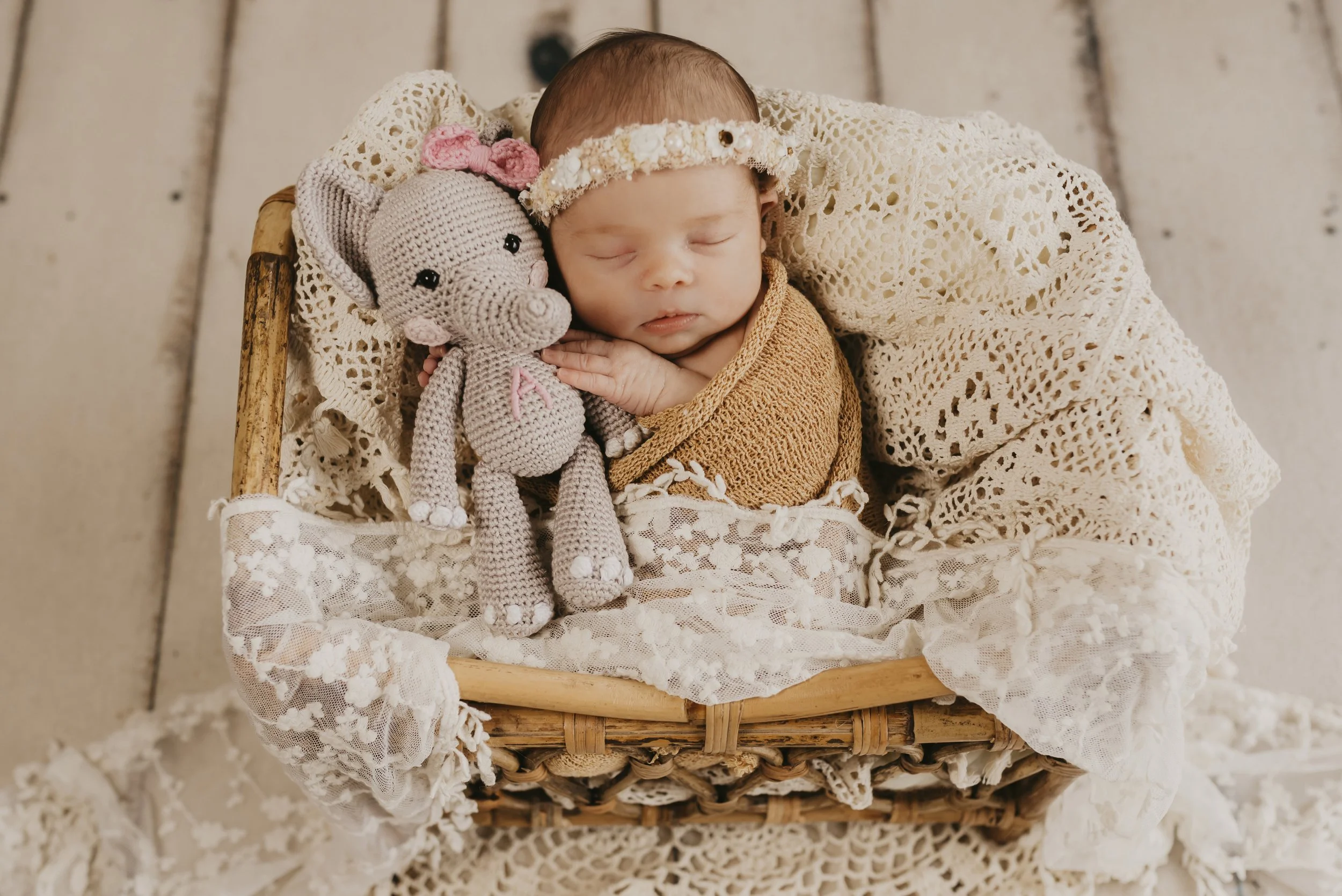 Luxury Newborn Photographer in Lake County, Ohio | Danelle Joy Photography| Cleveland, Ohio