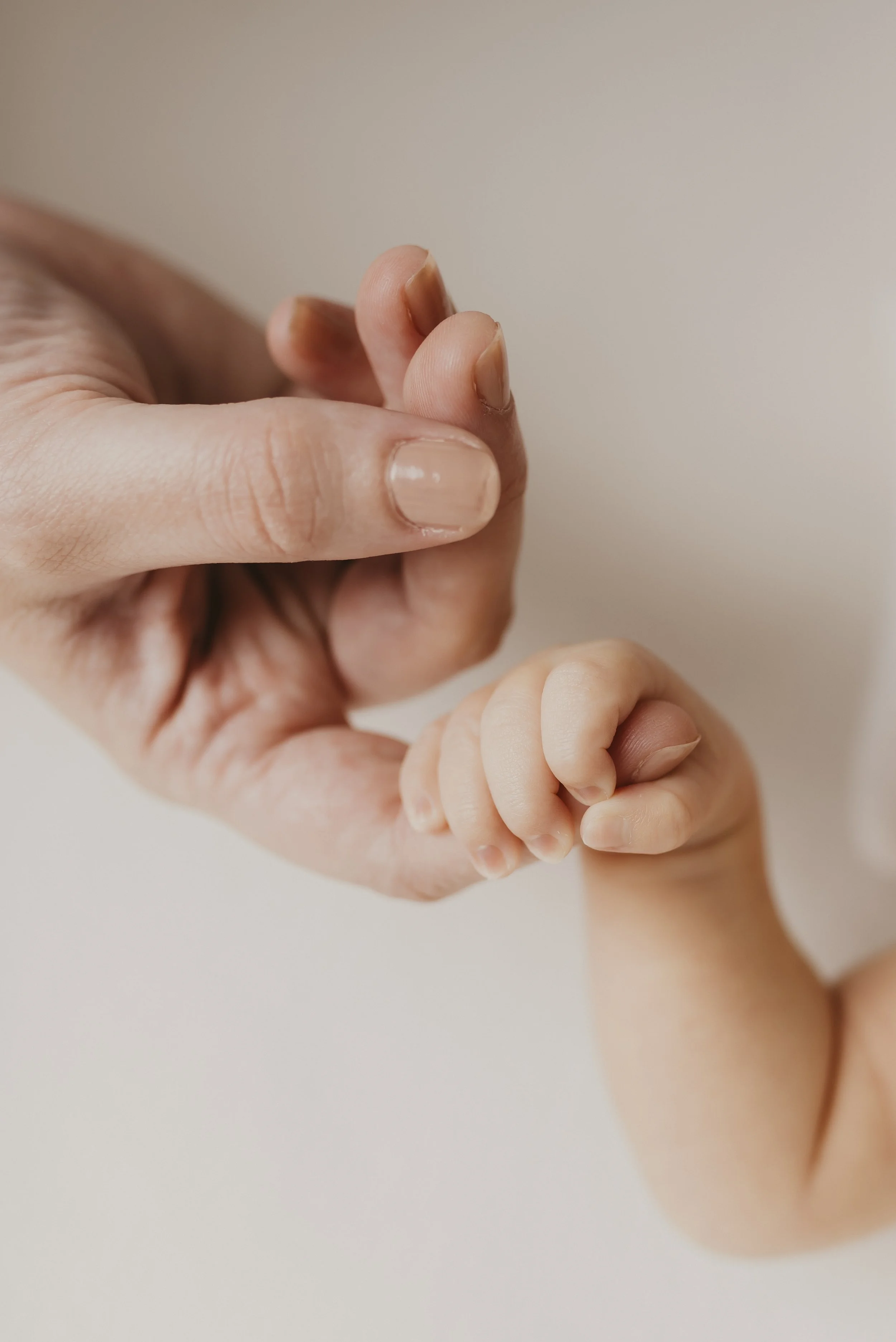 Studio Newborn Photography 