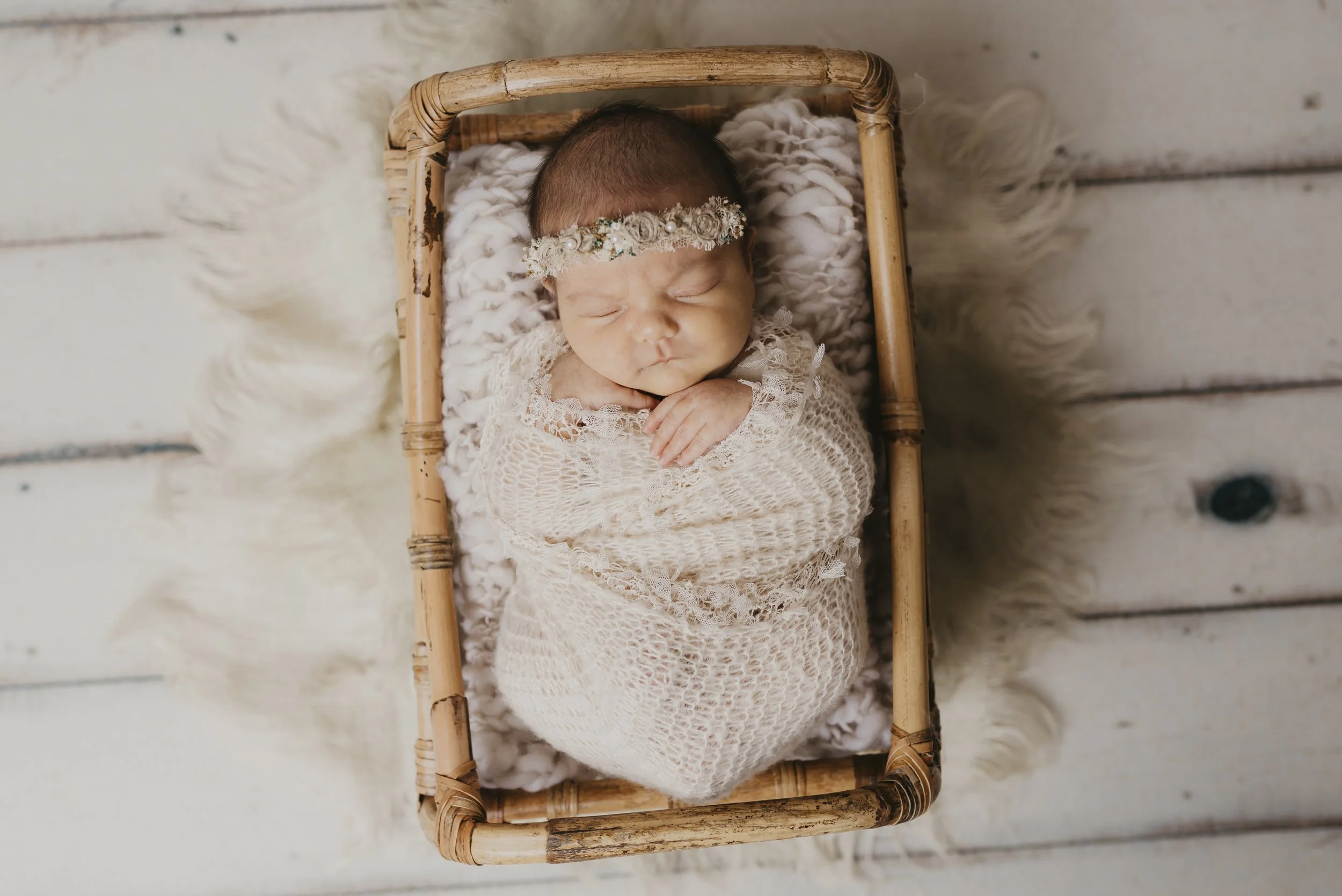 newborn photography session in Cleveland Ohio studio”