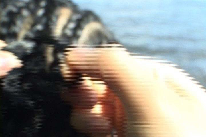 Unbraid+still.jpg