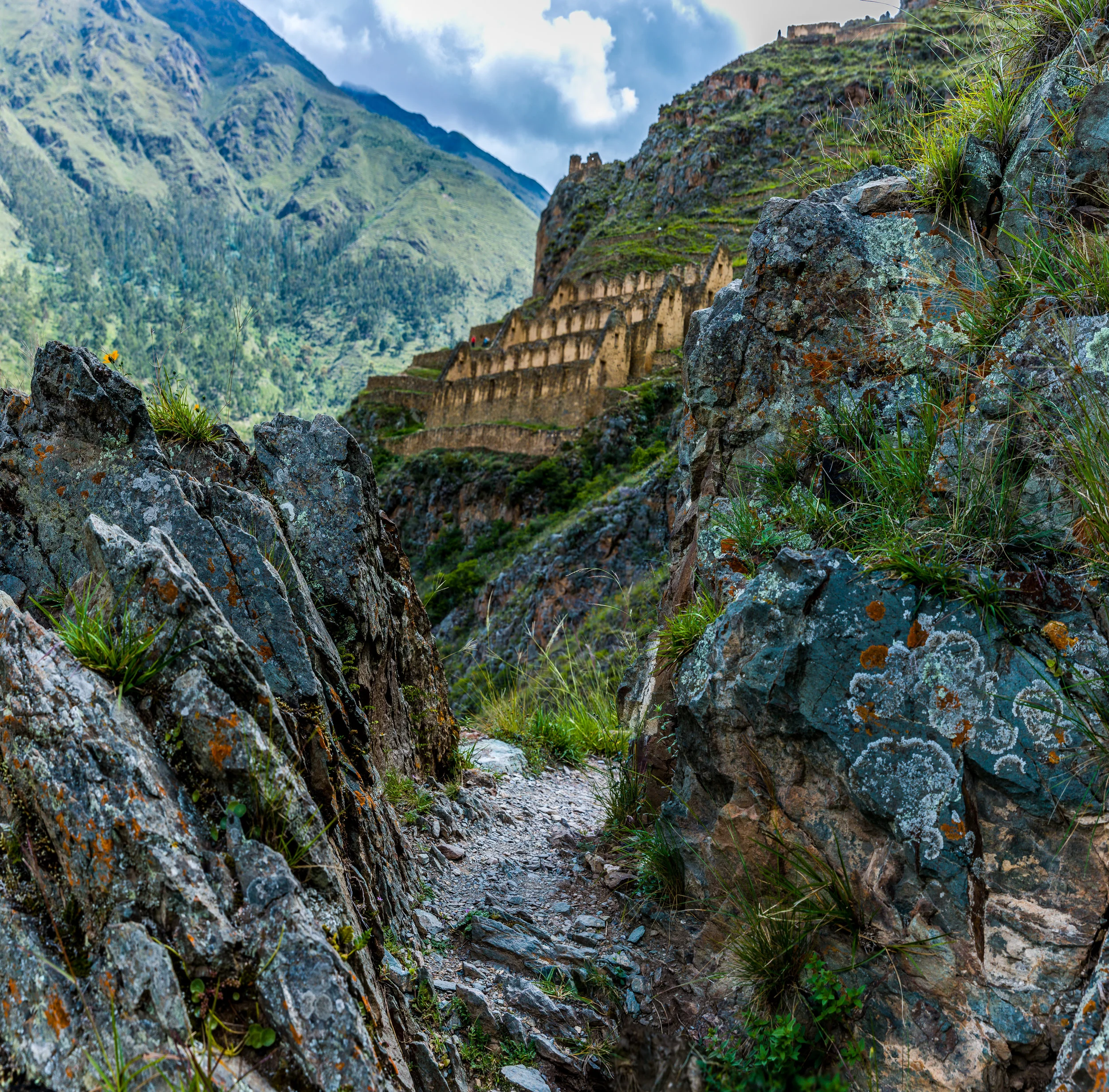 5M5A0980-Pano.jpg