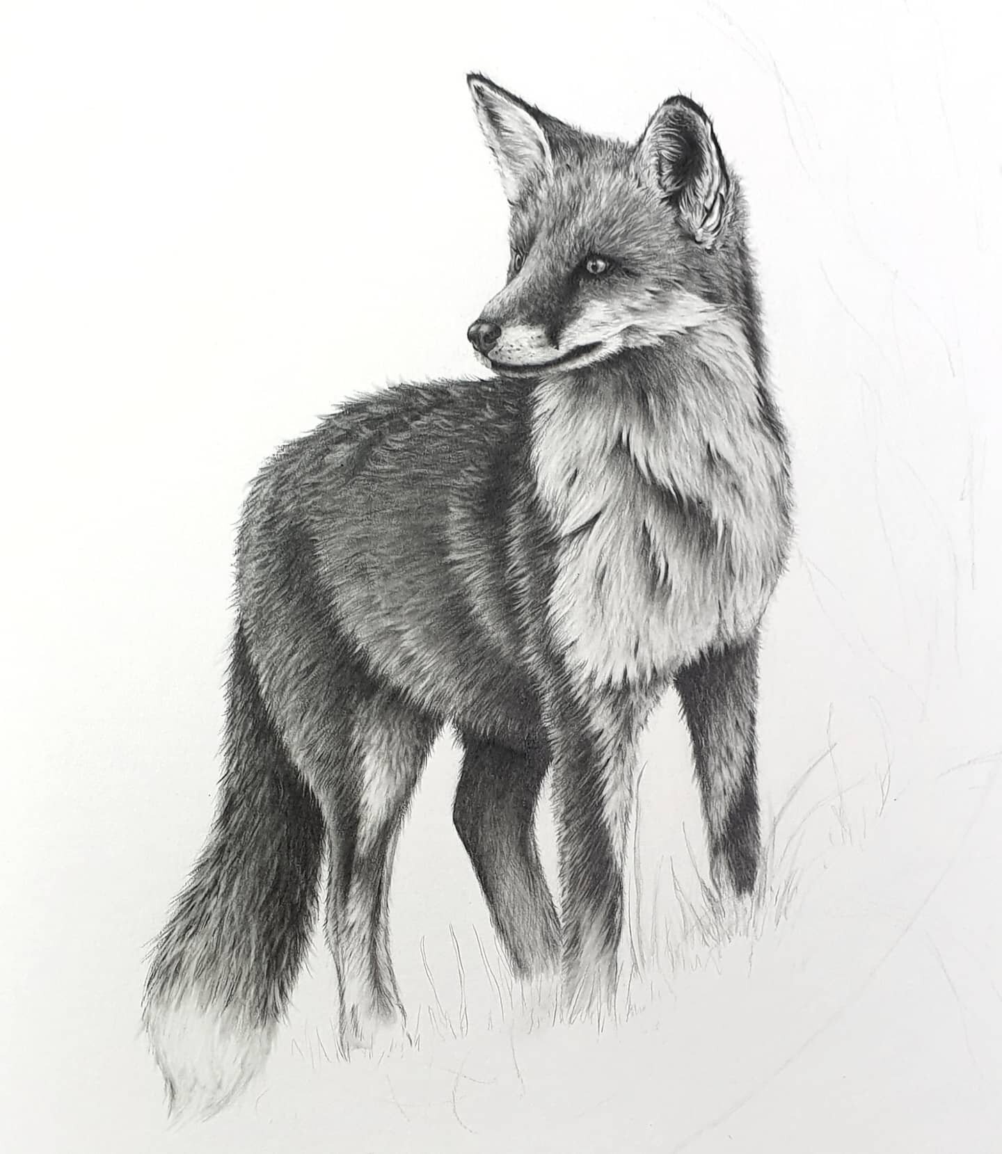 Fox pretty much finished, now to spend the next couple of years faffing with foliage 🤦🏼&zwj;♀️

#fox #foxesofinstagram #redfox #artoftheday #instaart #artwork #wip #art #artist #contemporary #newcontemporary #art_realism #realism #sharingart #thena