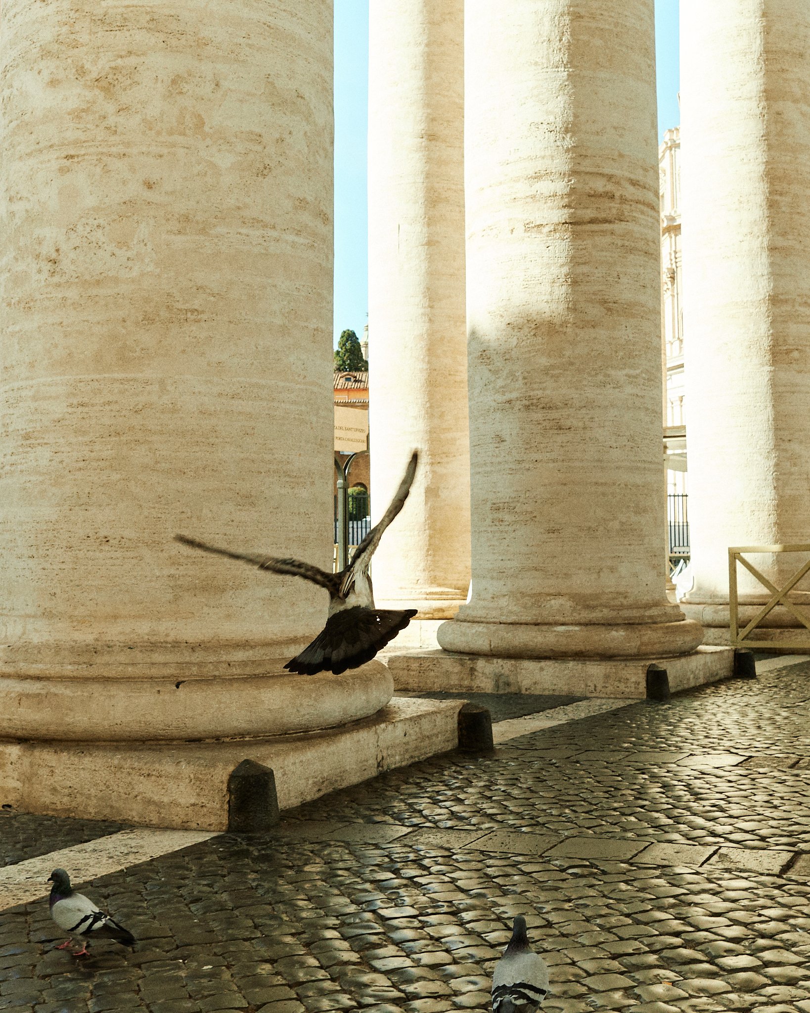 241125_Italy_105.jpg