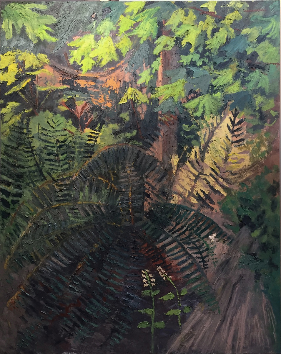 Ferns with Fringecups, oil on panel, 48 x 60.75 in., 2018