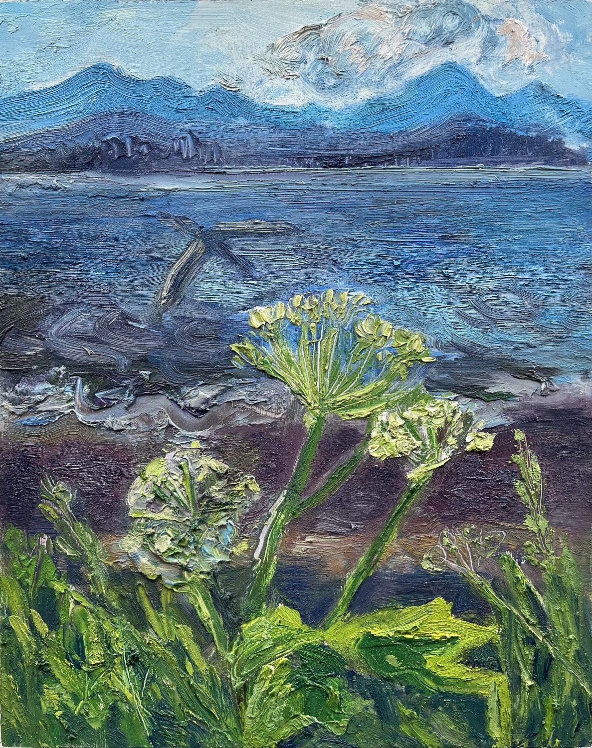 Cow Parsnip, oil on panel,  11 x 8 in., 2023