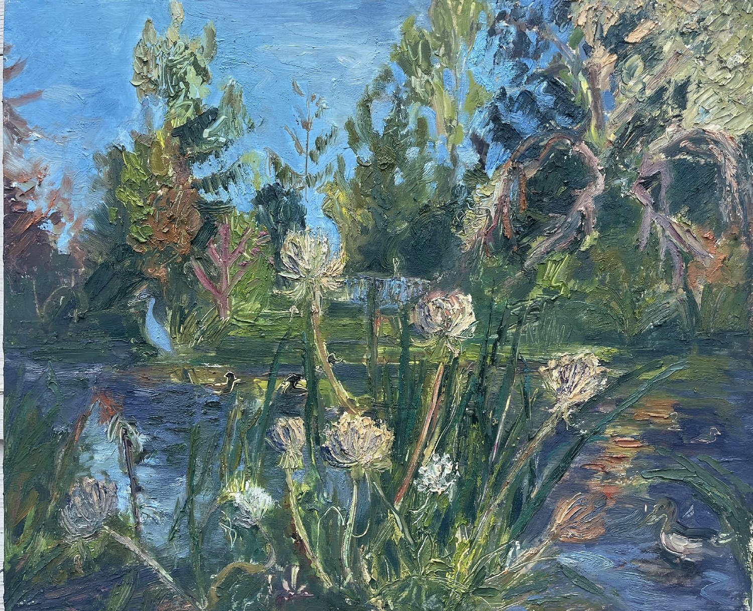 Queen Anne's Lace, oil on panel, 16 x 21.5, 2023