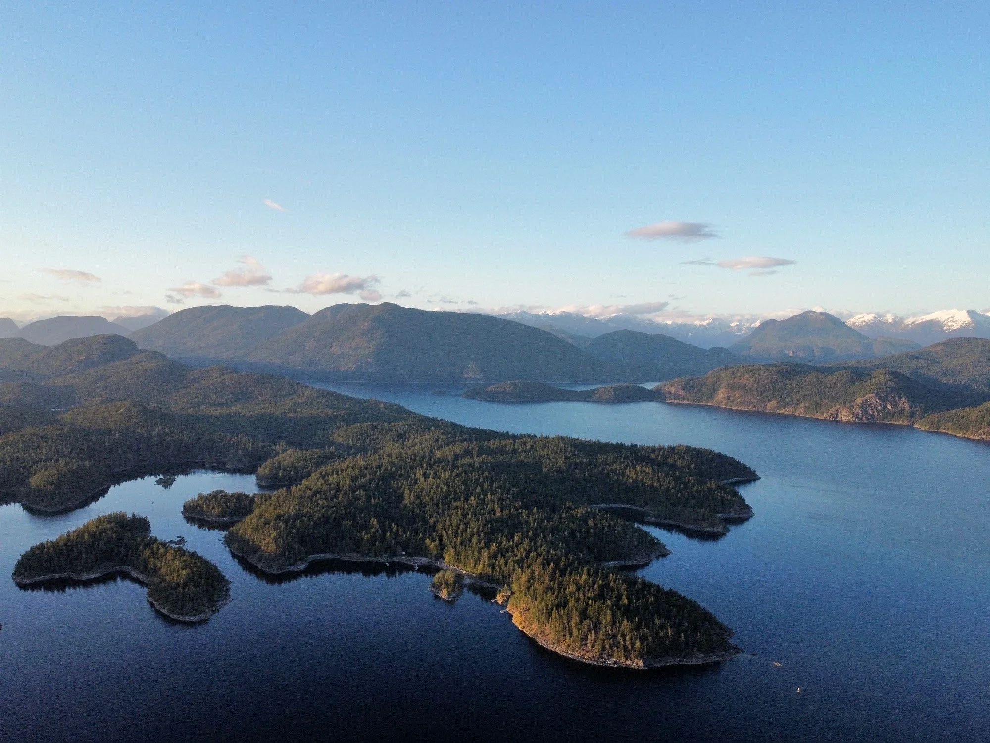 Gallery — Squirrel Cove Trading Co.