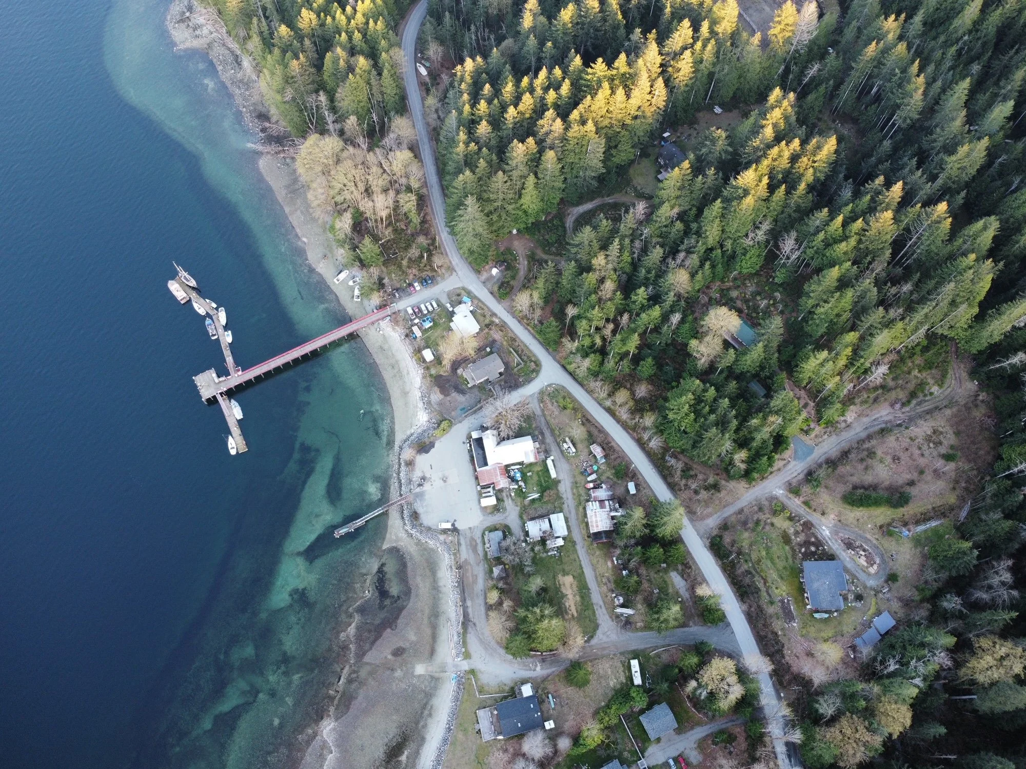 Squirrel Cove Trading Co.