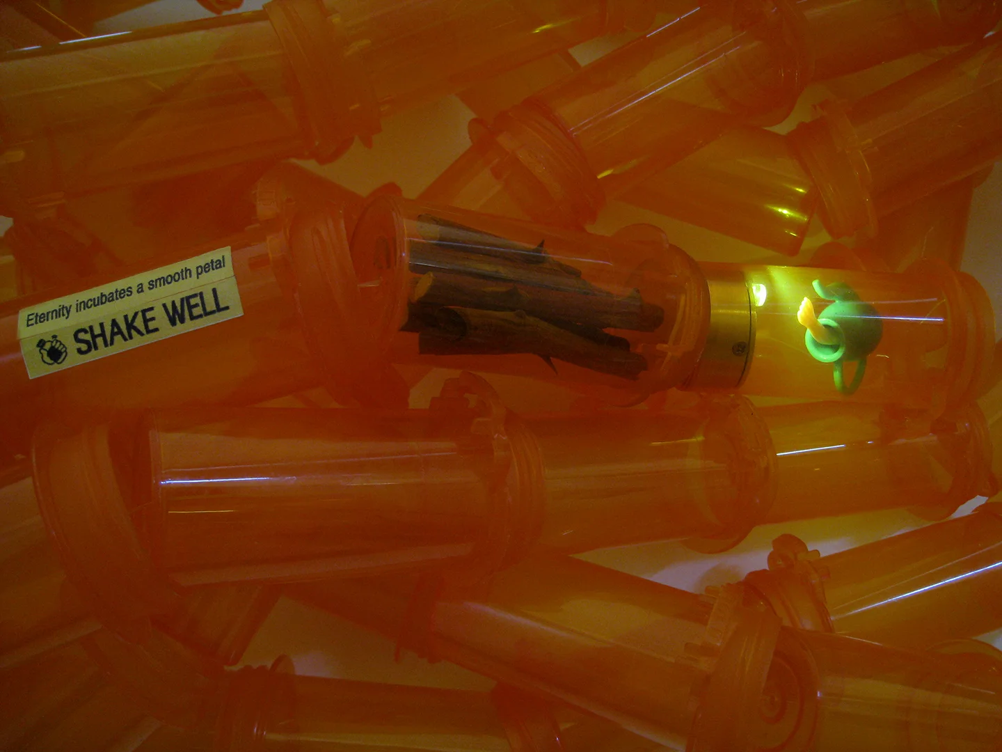 "Eternity incubates a smooth petal, Me As A Goddess 4", 2009. Aprox. 16' long. Detail view. Prescription bottles, rosebush stems and thorns, LED light, nylon thread, paper and plastic items.