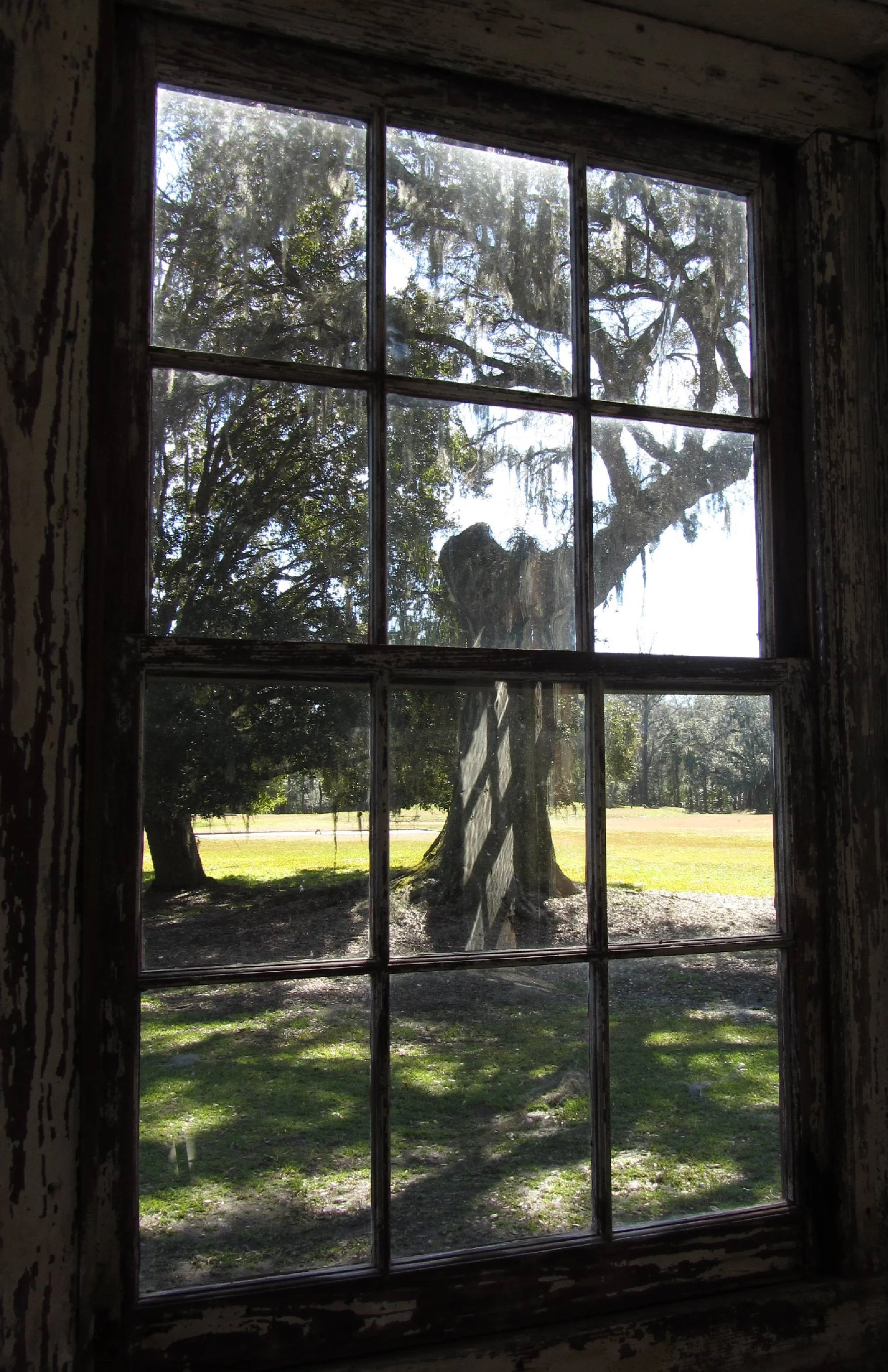 window.jpg