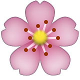 1f338.png