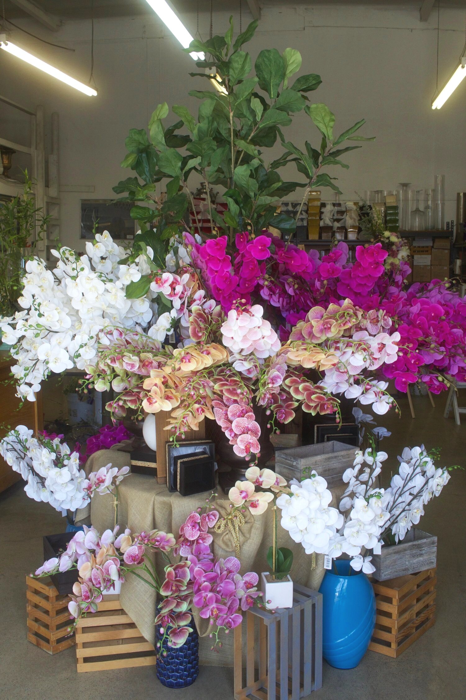 Mixed White Modern Fresh Flower — Wholesale Flowers, Floral Design,  Orchids- Mina Flower Design