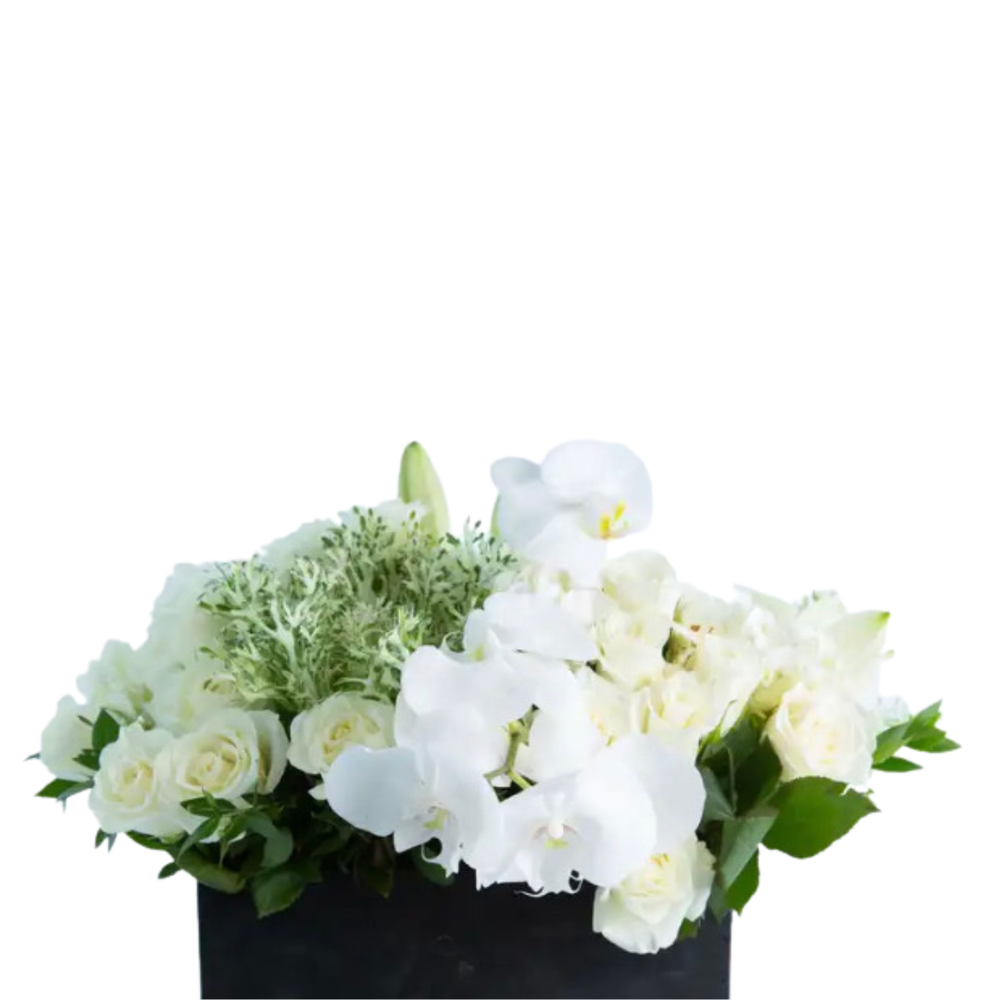 Mixed White Modern Fresh Flower — Wholesale Flowers, Floral Design,  Orchids- Mina Flower Design