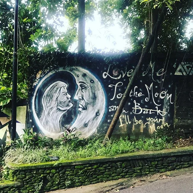 Artwork in Ubud is beautiful ✨ #ubud #bali #art
