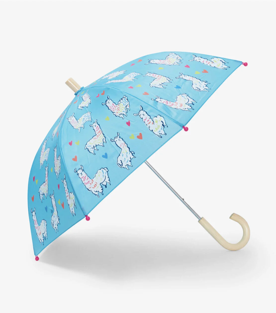 311D29FD-D985-4AA8-9269-1DAF8A782B1A