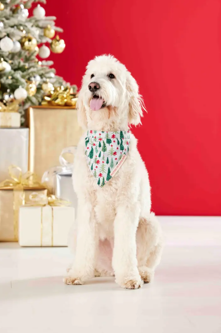 Screen Shot 2022-09-29 at 7.36.46 PM.png