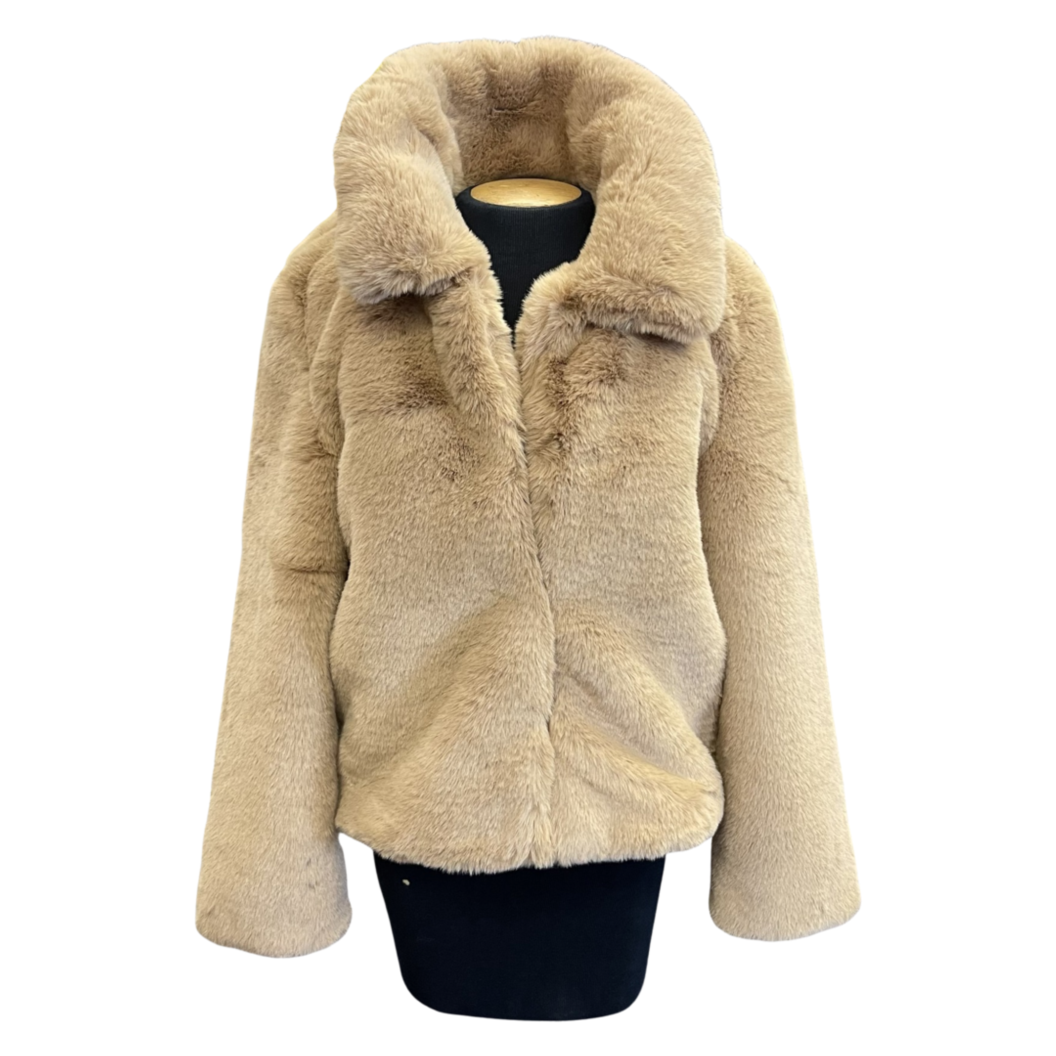 AD0D4D9C-C9C5-4EE0-9599-FAB939D97BBC