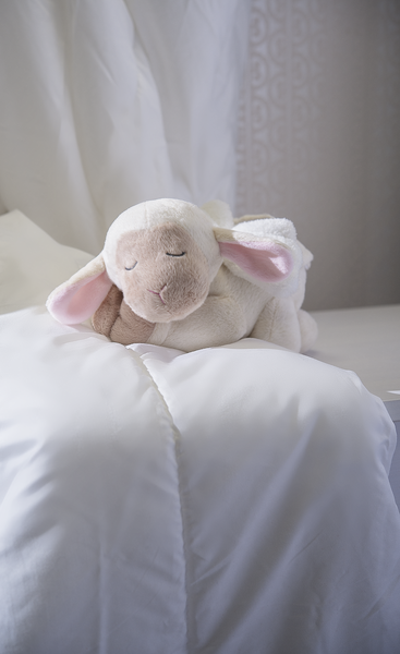 5FC42256-8B03-4D24-BC97-4B7FAE645F7C