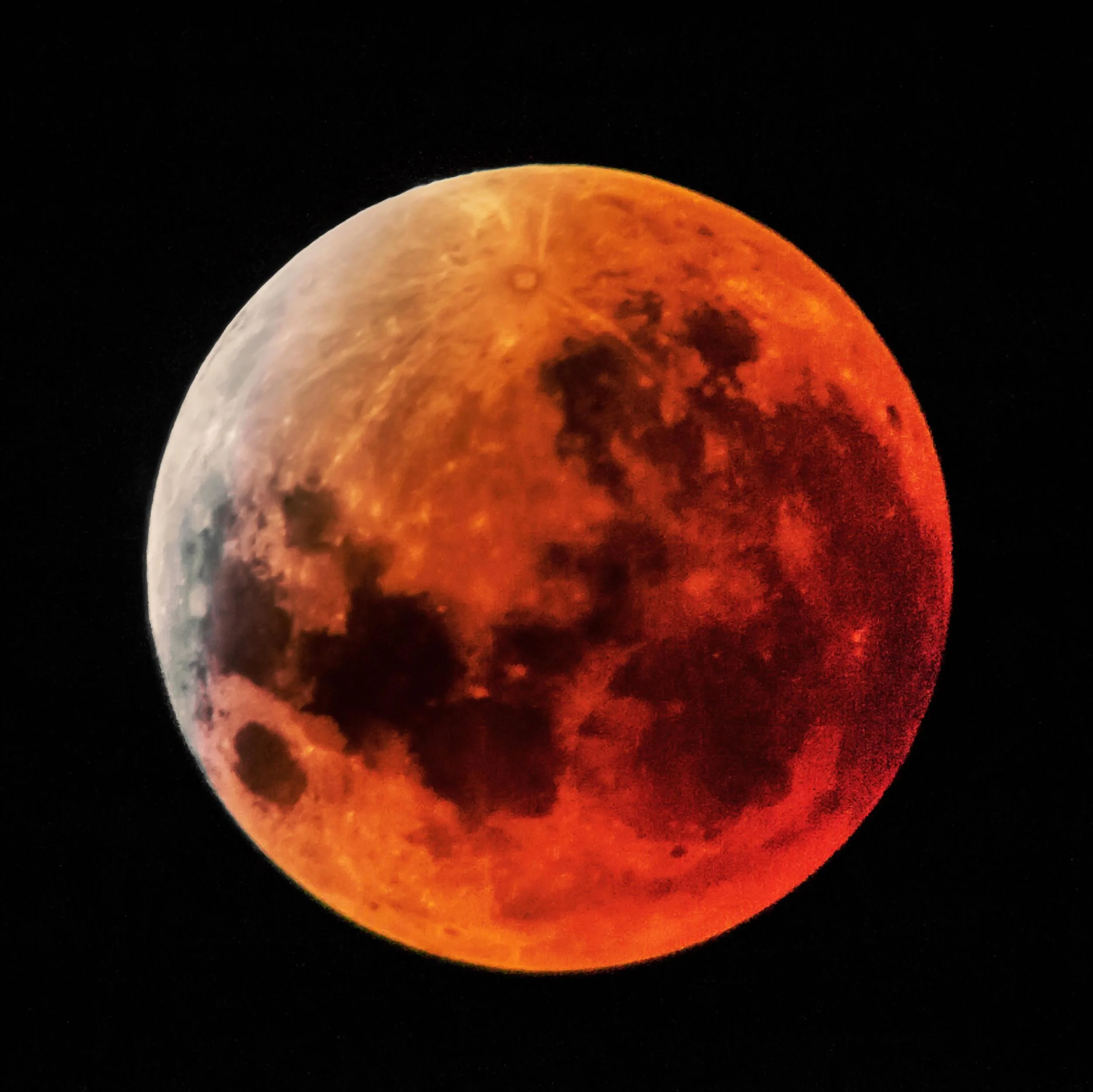 Bloody Apocalypse