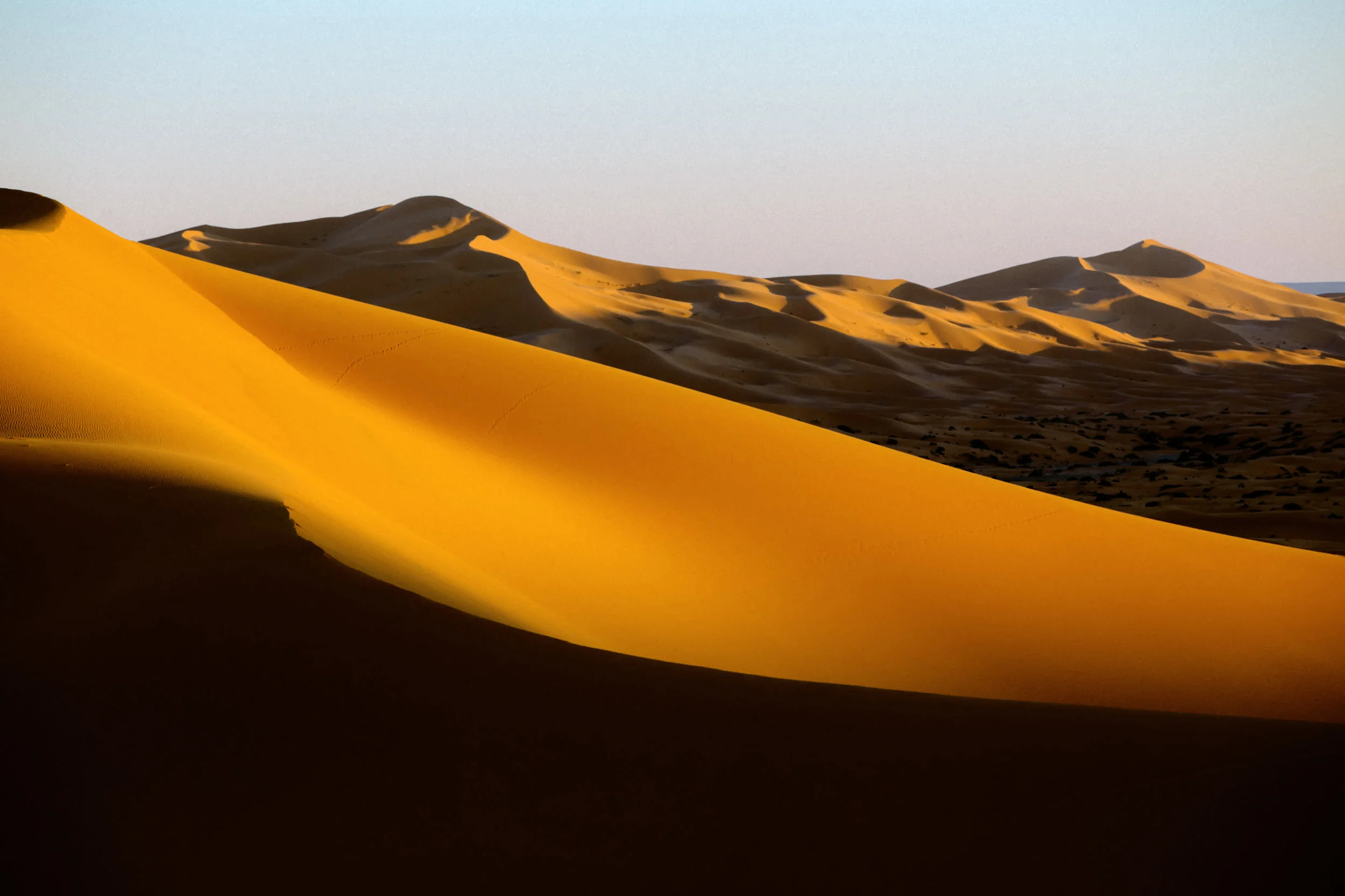 Sahara