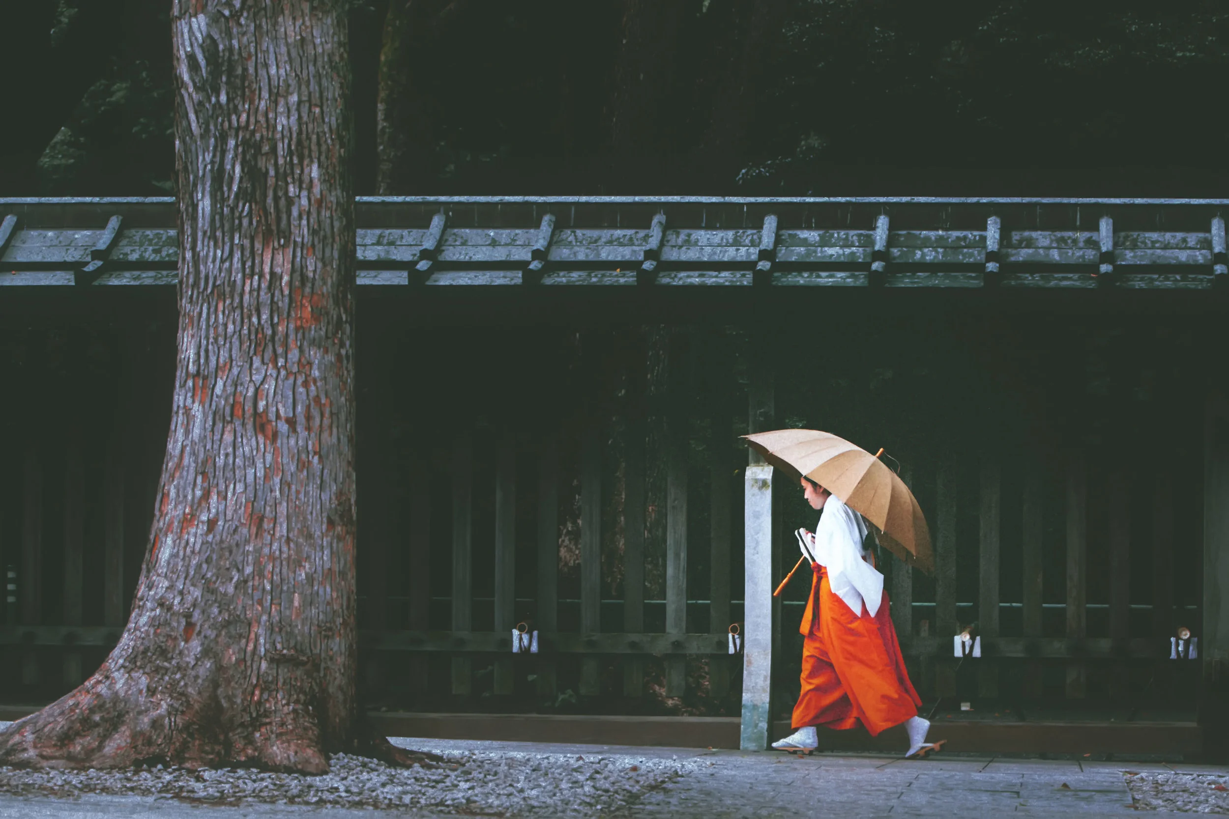 明治神宮