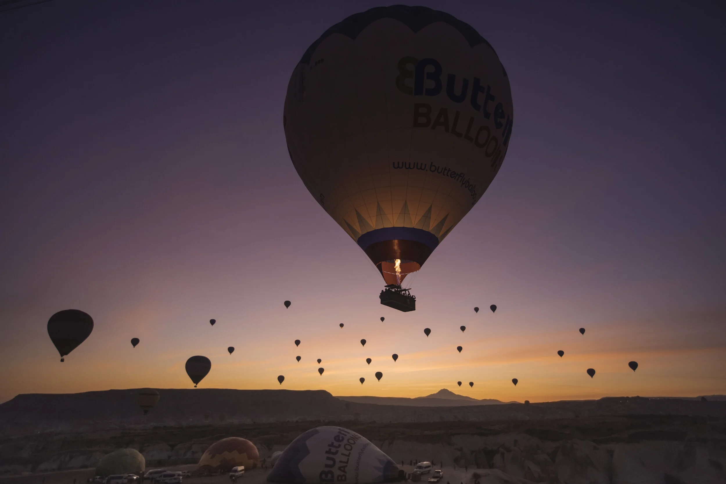 8S3A8586 as Smart Object-1.jpg