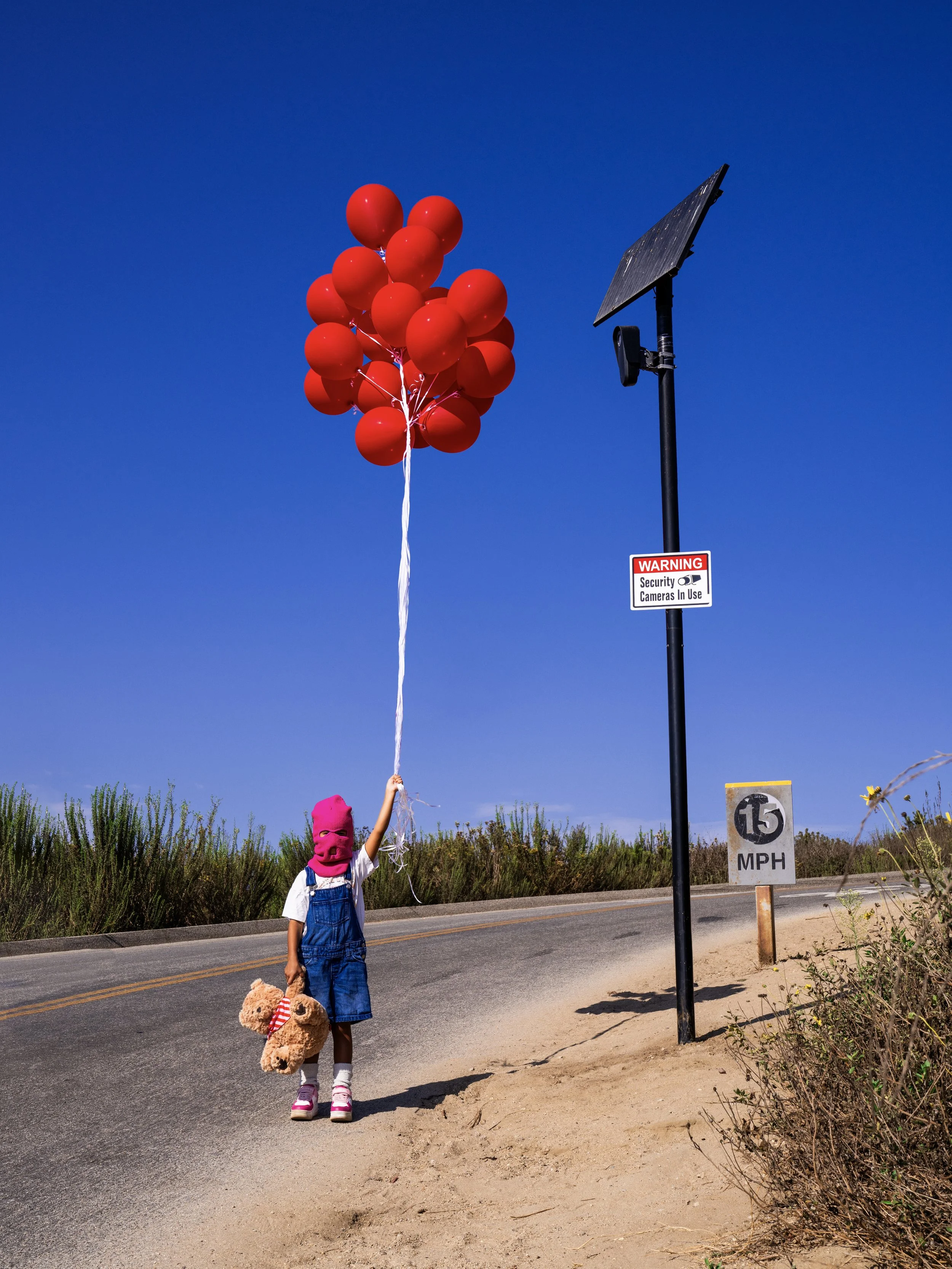 Red Balloons Print edit 4.jpeg