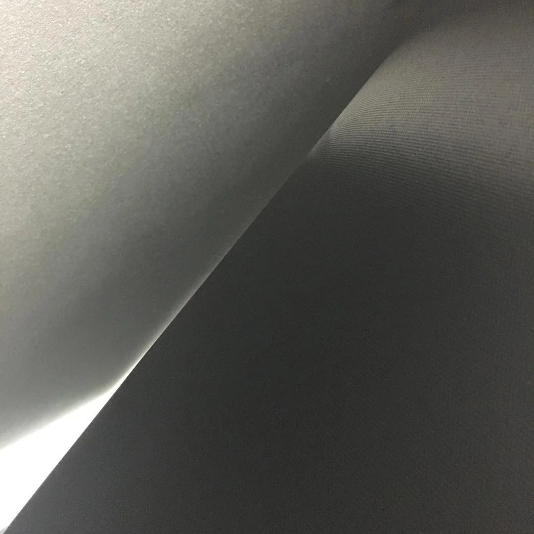11410763_1504198696540885_804900252_n.jpg