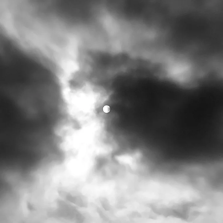 IMG_6749g.jpg
