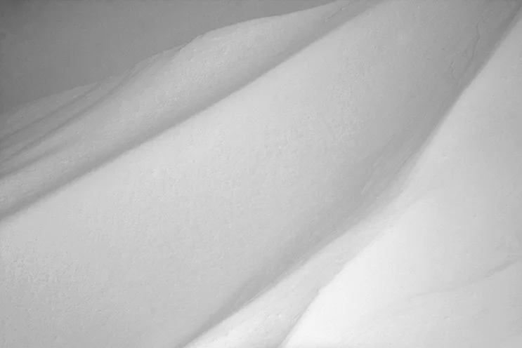 _MG_3551g.jpg