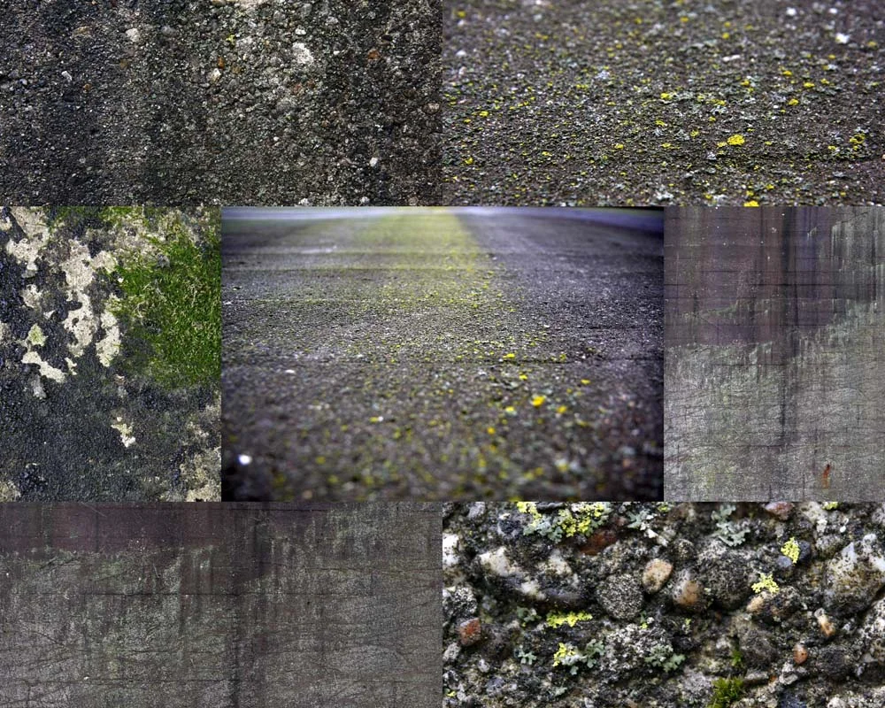 final project photos XXXX9.jpg