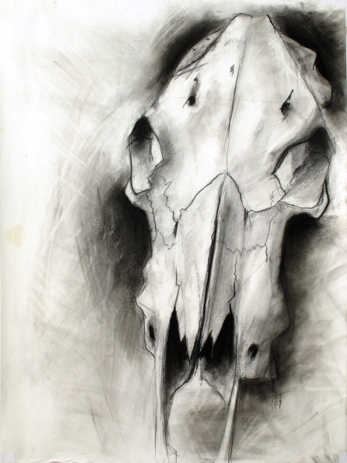 18 x 24" charcoal on paper 16 year-old me in my Core Drawing class. We were being introduced to different forms of drawing and encouraged to use different techniques constantly. This one included smudging charcoal and lifting out with a kneaded eraser. I even dated it, 10/4/91.