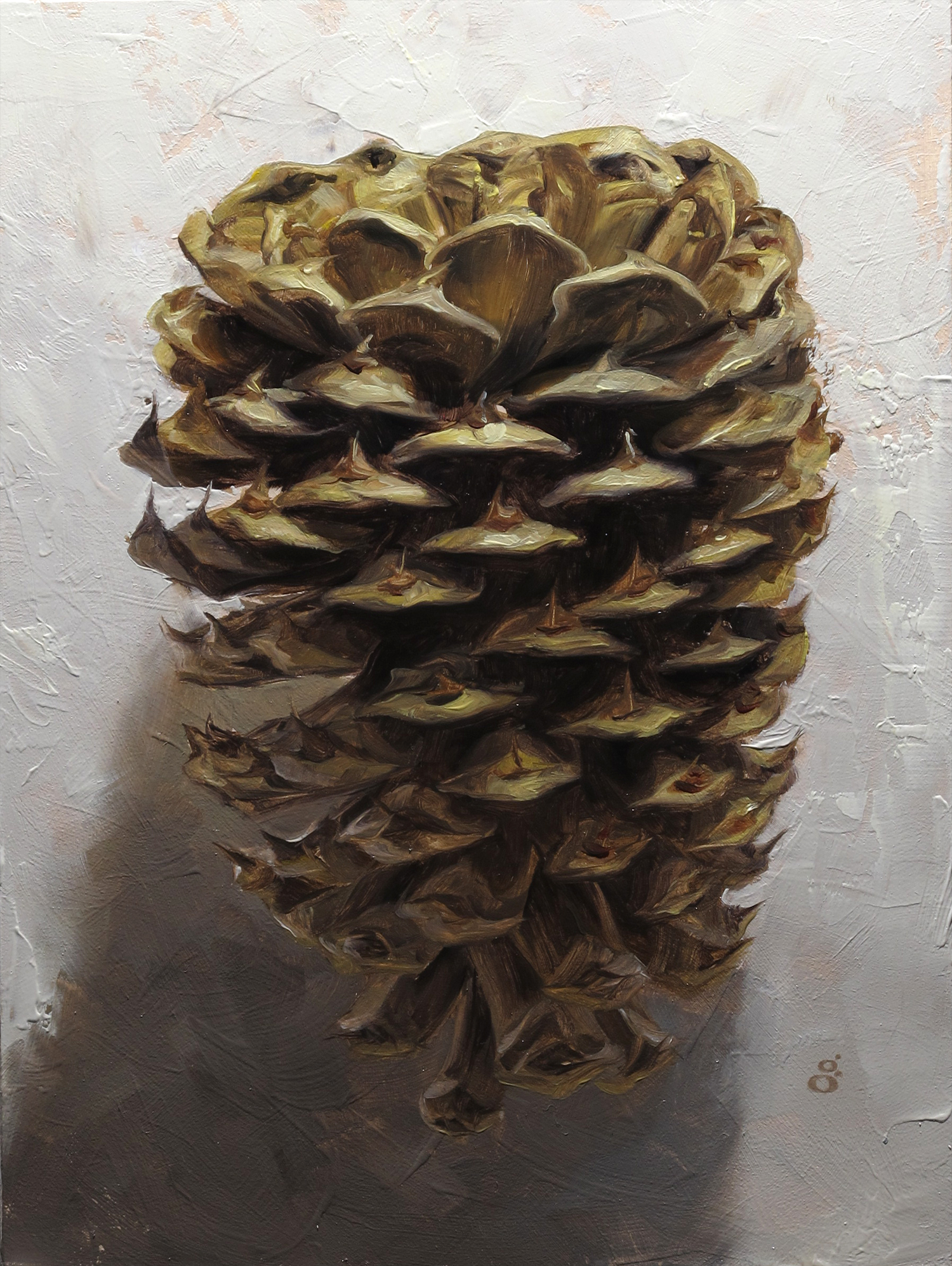 "Pine Cone" 6x8" oil on panel Sold