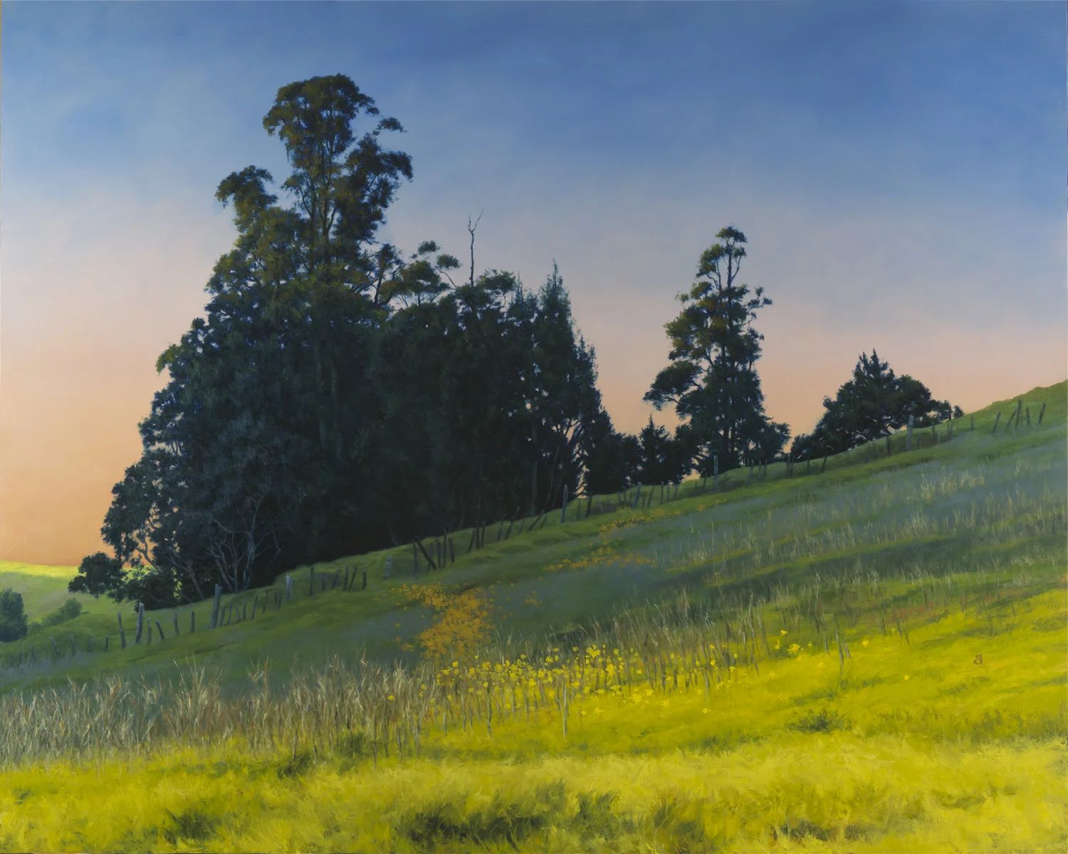Petaluma Evening