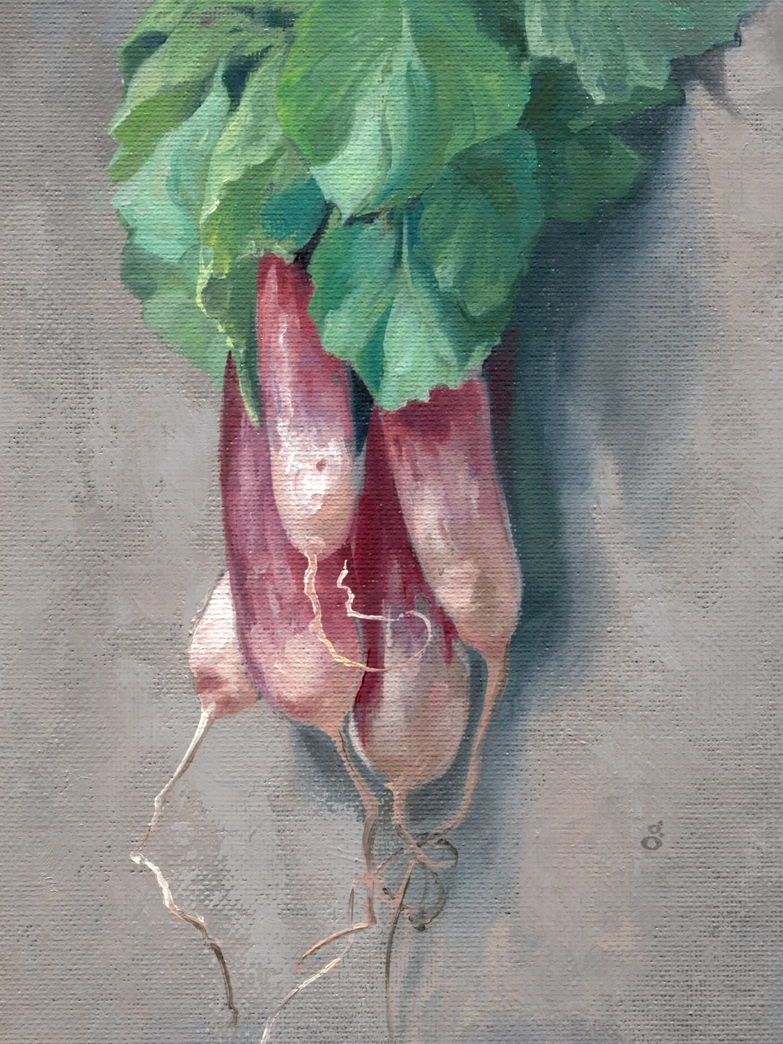 Radishes