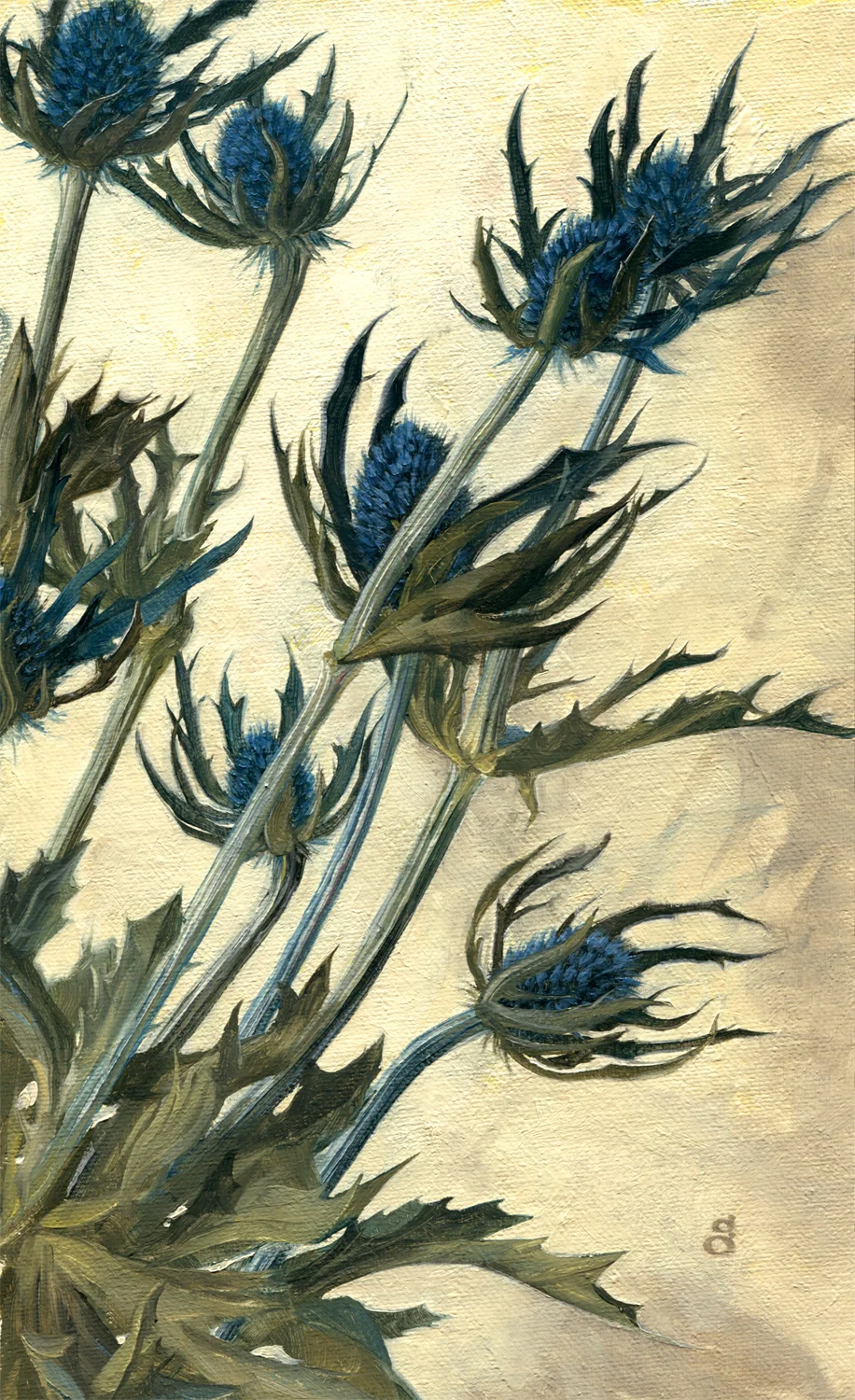 Thistle 10.25” x 6.25” oil on canvas Not for sale