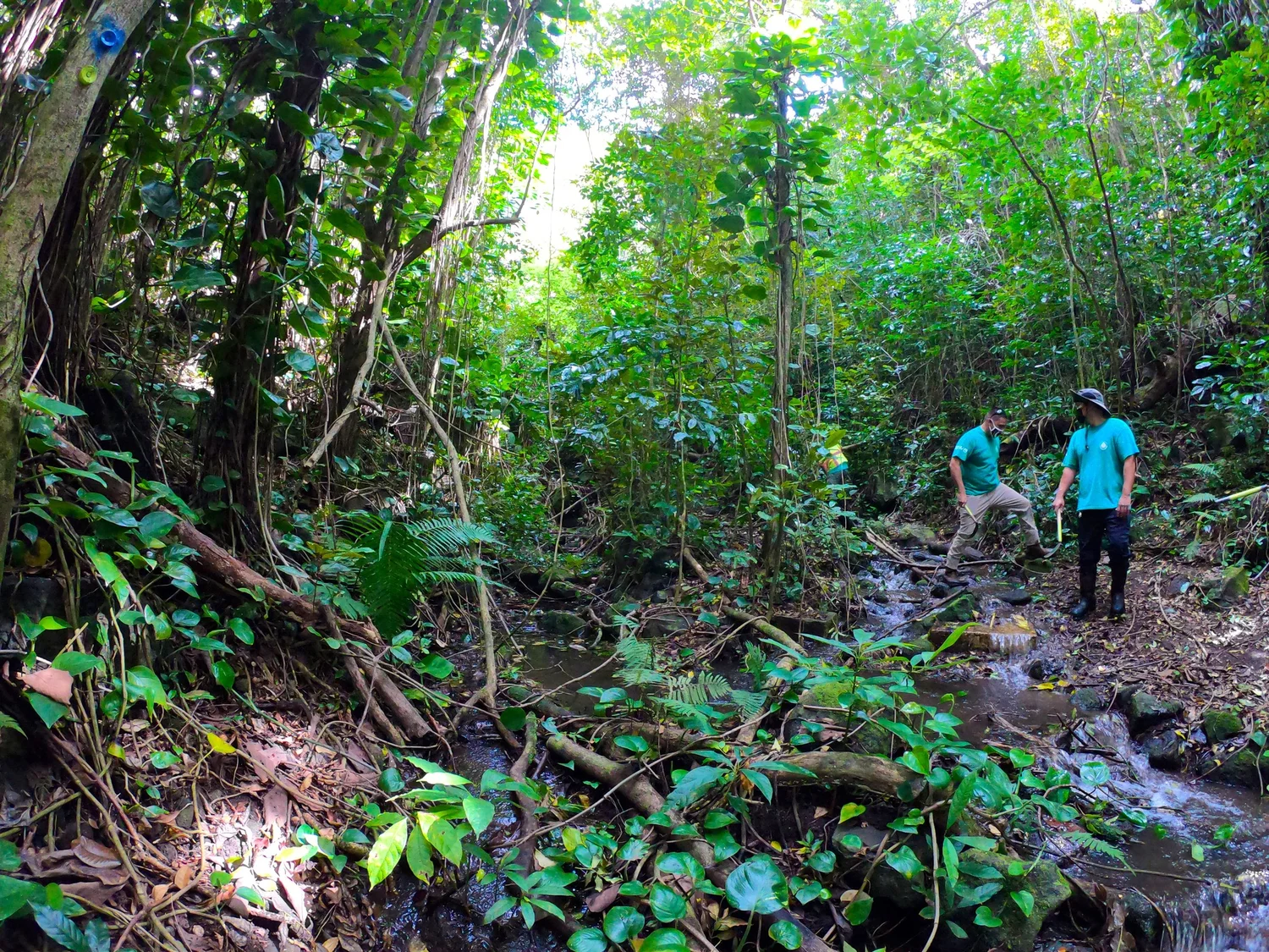 2024 Pacific Water Conference — AWWA Hawaii Section