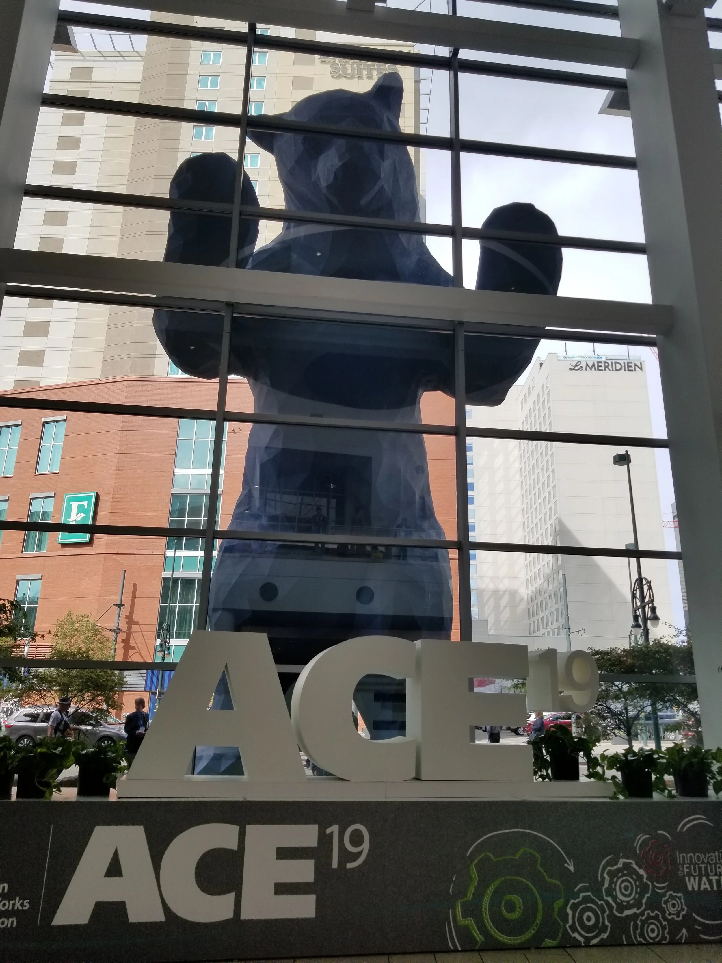 Big Blue Bear enjoying ACE19!