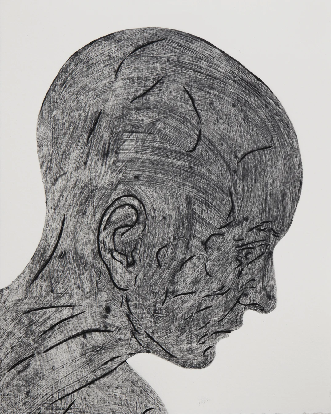 Study of head, 1