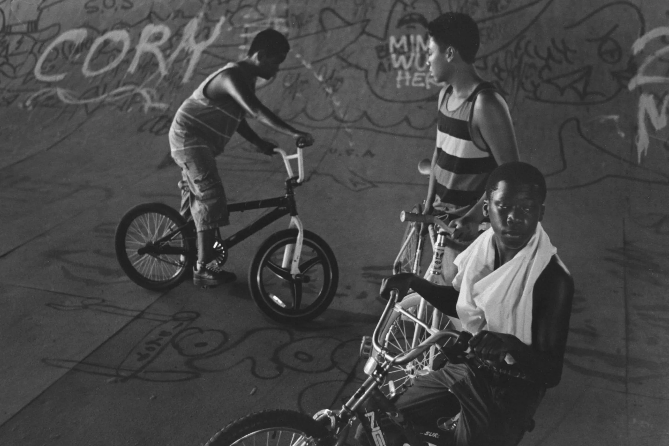 Three Kids in the Half-Pipe