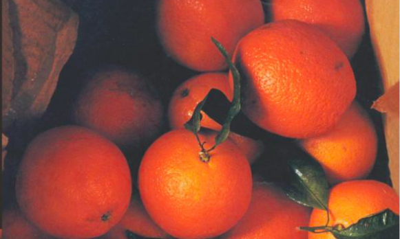 Screen Shot 2017-05-14 at 11.30.56 AM.png