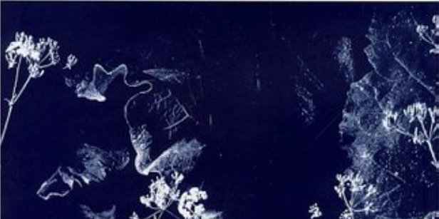 Screen Shot 2017-05-14 at 11.41.29 AM.png