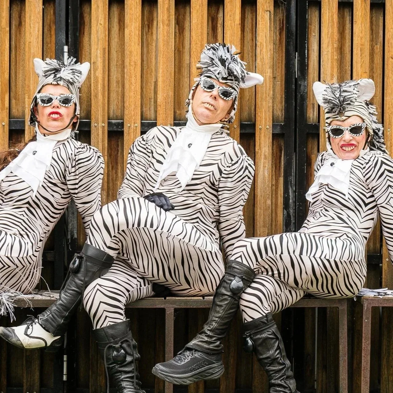 HERO 3 Zebras cross legged.jpg