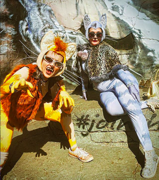 Cats at Melbourne Zoo