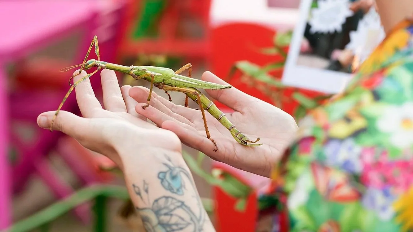 Education Programs with Royal Botanic Gardens Vic