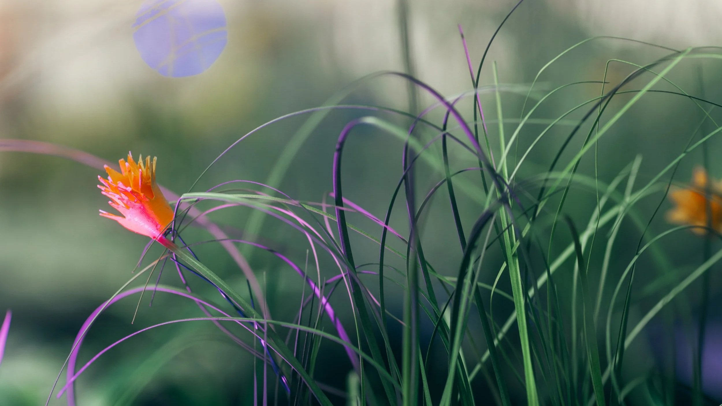 450 species of butterflies in Australia