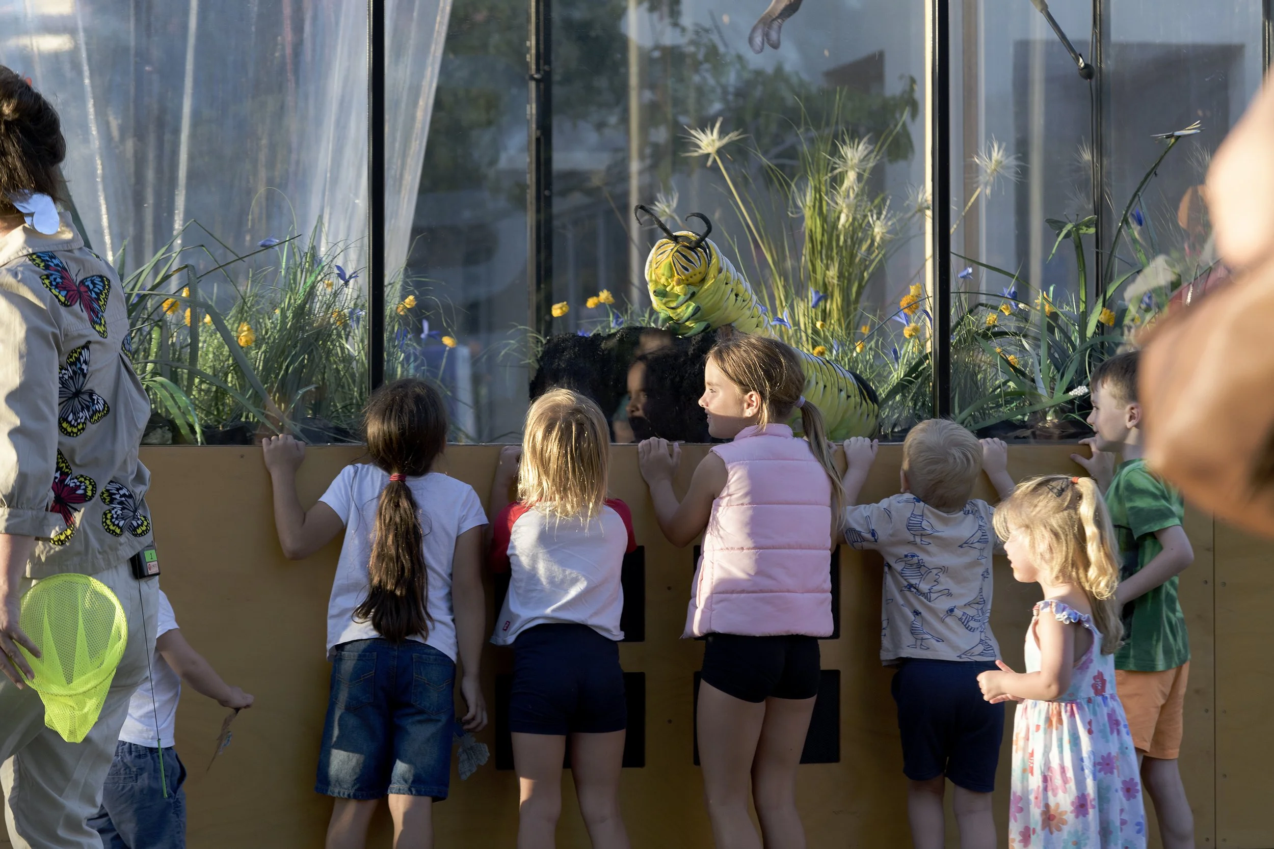 Copy of JF25_Monday24_Cube.Butterflys_AC_Screen_19.JPEG